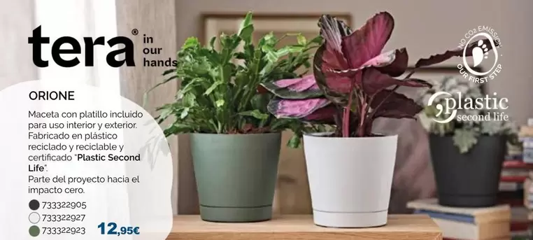 Impacto - Patatas Secorado