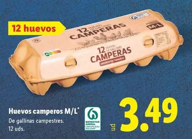 Huevos Camperos M/L