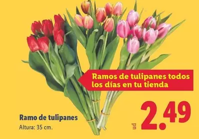 Ramo De Tulipanes