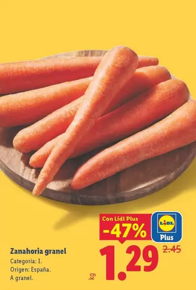 Zanahoria Granel