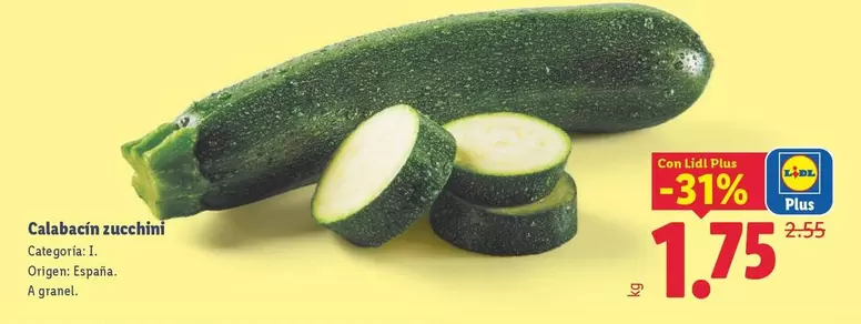 Calabacin Zucchini