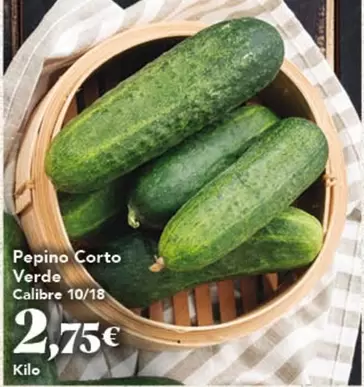Pepino Corto Verde
