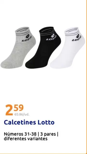 Lotto - Calcetines