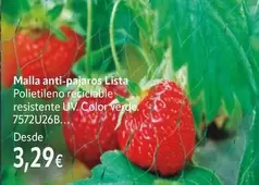 Lista - Malla Anti-pajaros