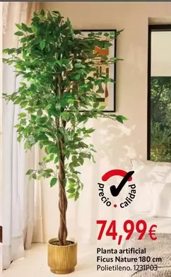 Nature - Planta Artificial Ficus