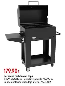 Barbacoa Carbón Con Tapa