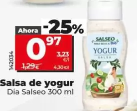 Dia Salseo - Salsa De Yogur