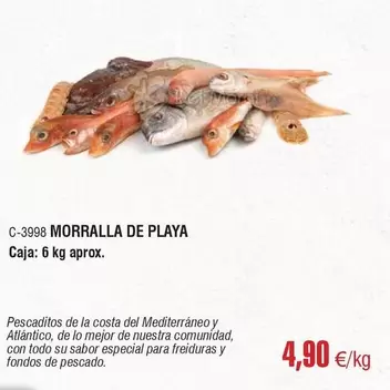 Costa - Morralla De Playa