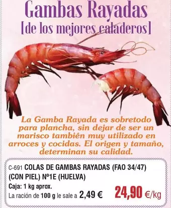 origen - La Gamba Rayadas