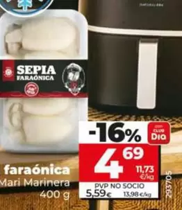 Dia Mari Marinera - Sepia Faraonica