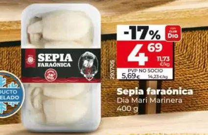 Dia Mari Marinera - Sepia Faraonica 