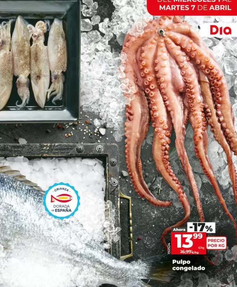 Pulpo Congelado