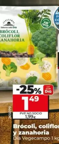 Dia Vegecampo - Brocoli, Coliflor Y Zanahoria