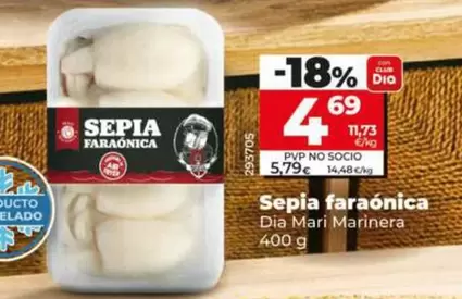 Dia Mari Marinera - Sepia Faraonica 