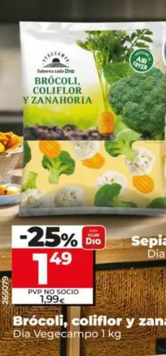 Dia Vegecampo - Brocoli, Coliflor Y Zanahoria