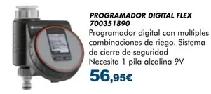 Flex - Programador Digital