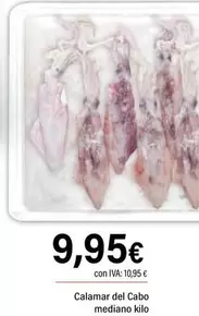 Calamar Del Cabo Mediano