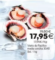 Vieira Do Pacífico Media Concha