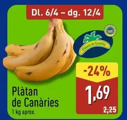 Platan De Canàries