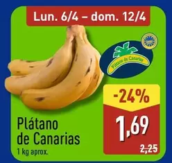 Platano De Canarias