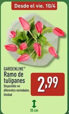 Gardenline - Ramo De Tulipanes