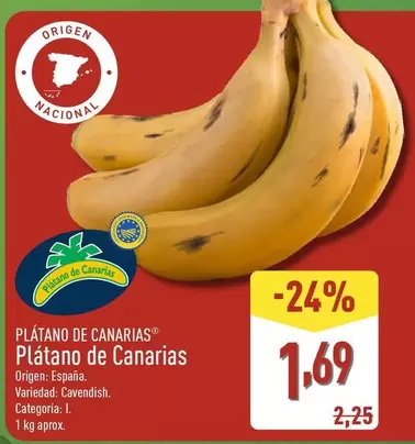 Platano De Canarias