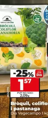 Dia Vegecampo - Bròquil, Coliflor Pastanaga