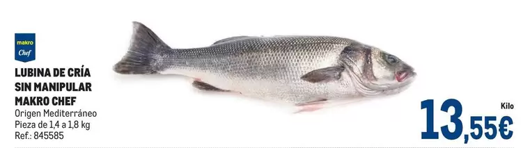 makro - Chef Lubina De Créa Sin Manipular