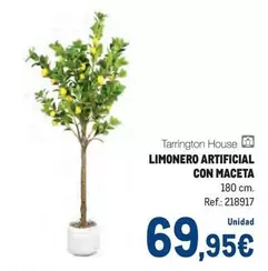 Tarrington - Limonero Artificial Con Maceta
