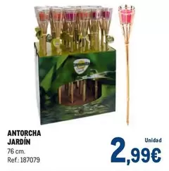 Casa Jardín - Antorcha Jardín