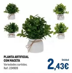 Planta Artificial Con Maceta