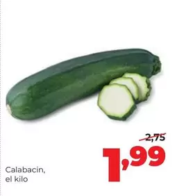 Calabacín