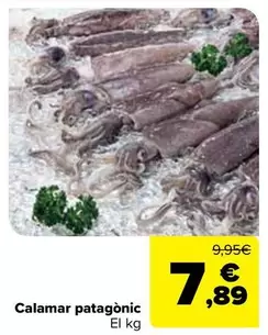 Calamar Patagonico