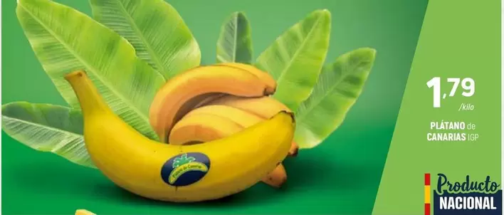 Platano De Canarias