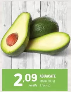 Aguacate