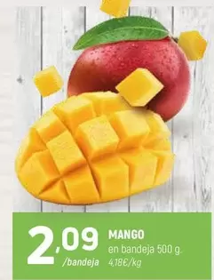 mango - Mango
