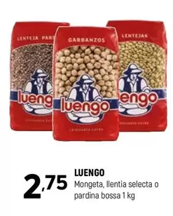 Luengo - Mongeta
