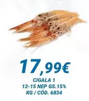 Cigala 1 12-15 Nep Gs.15%