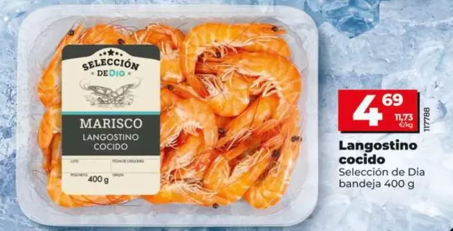 Seleccion De Dia - Langostino Cocido 