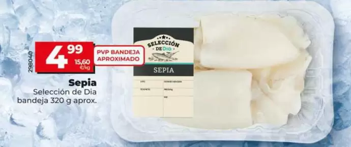 Seleccion De Dia - Sepia 