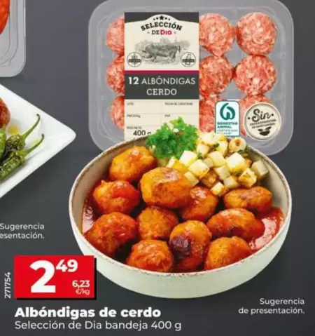 Seleccion De Dia - Albóndigas De Cerdo 