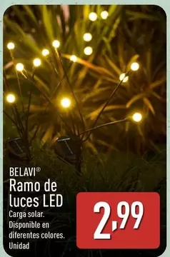 Belavi - Ramo De Luces LED
