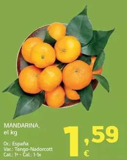 Mandarina