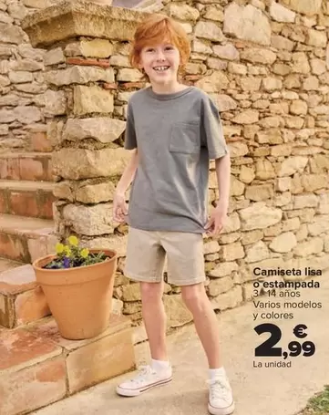 Camiseta Lisa O Estampada