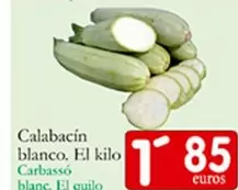  Calabacin Blanco