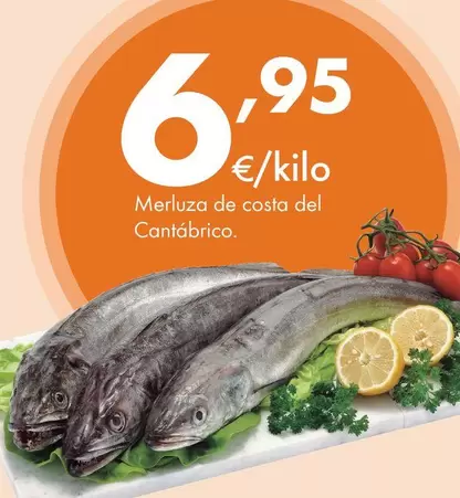 Merluza De Costa Del Cantábrico