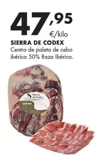 Sierra De Codex - Centro De Paleta De Cebo Ibérica 50% Raza Ibérica