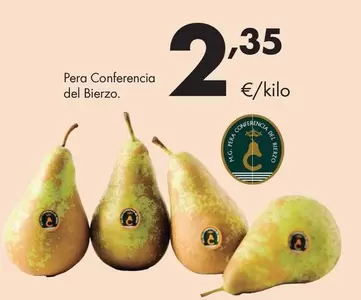 Pera Conferencia Del Bierzo