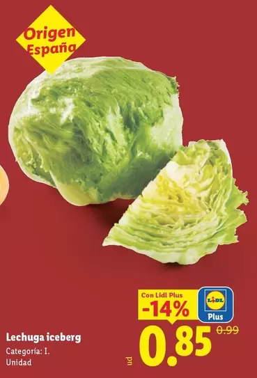 Lechuga Iceberg