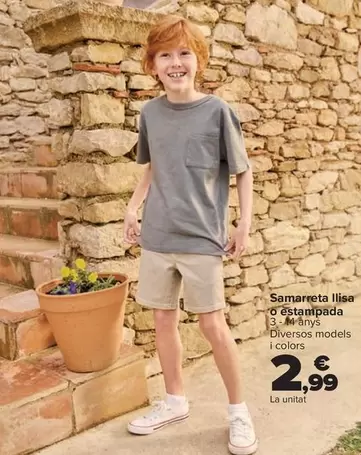 Camiseta Lisa O Estampada